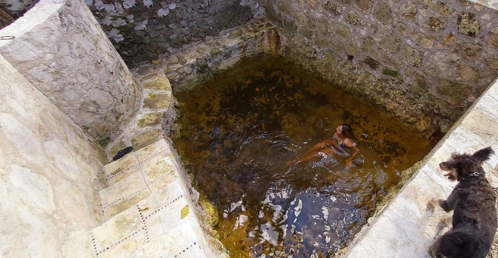 Holiday home Mini Pini Birdwatching And Cenote Loft4 You Only Cozumel