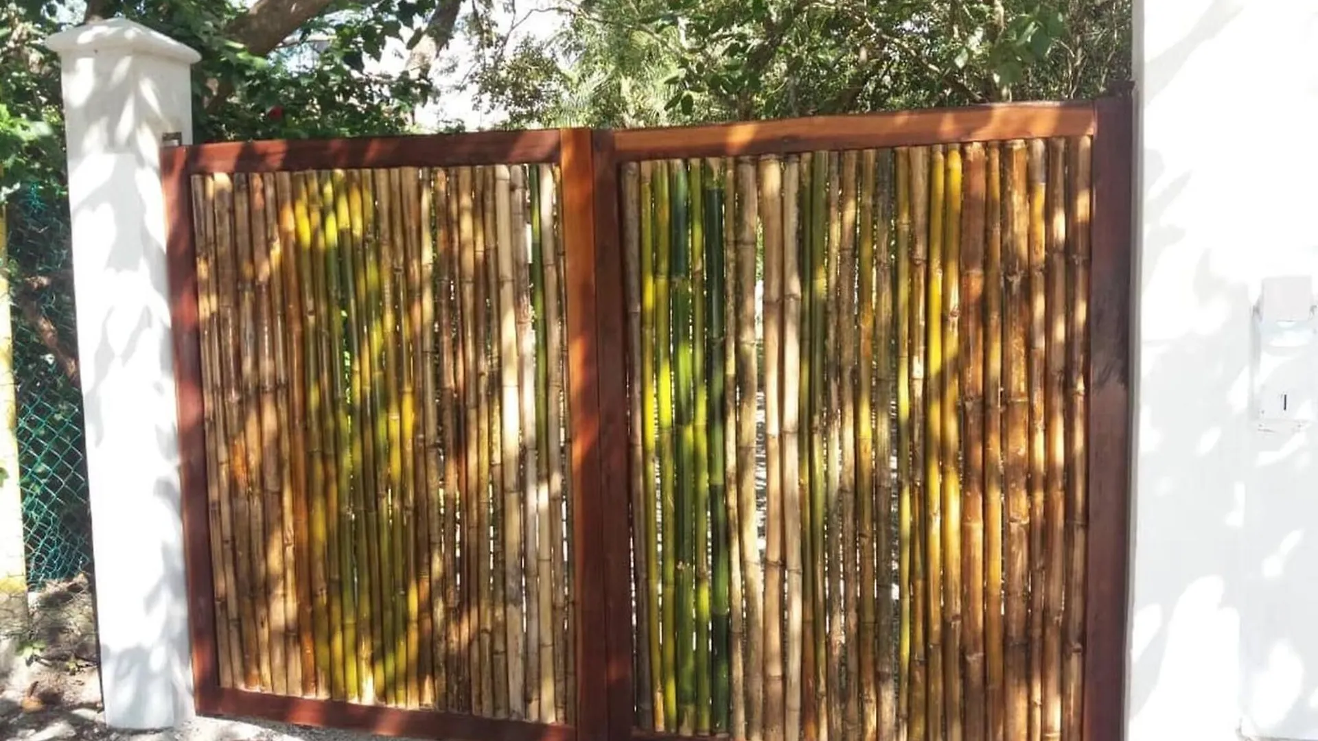Mini Pini Birdwatching And Cenote Loft4 You Only Cozumel Holiday home